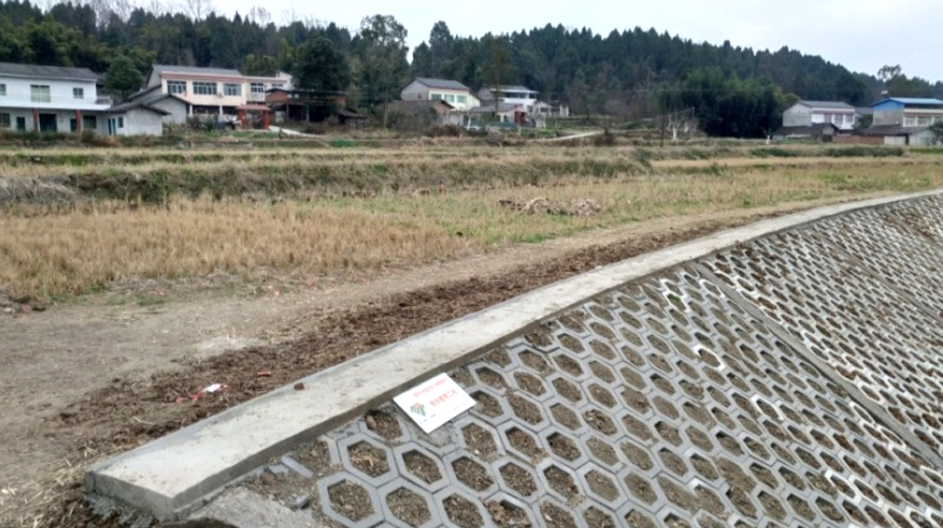 游仙区太平镇福林村、芦桥村、南山村土地整理